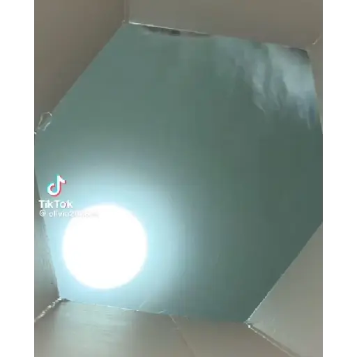 GATOS BAILANDO