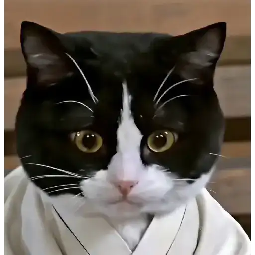 GATOS BAILANDO