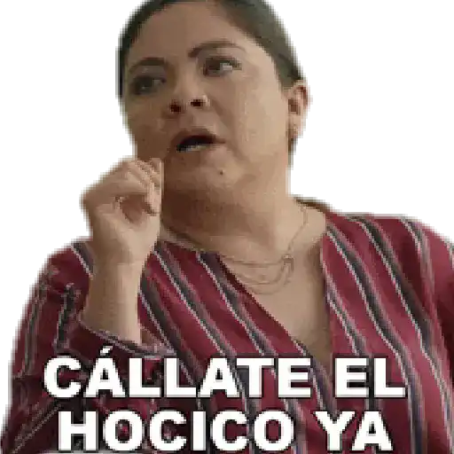 Mis pegatinas