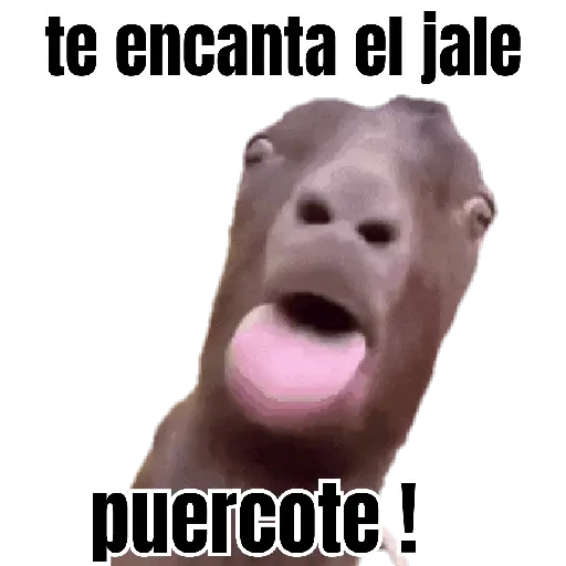 Mis pegatinas