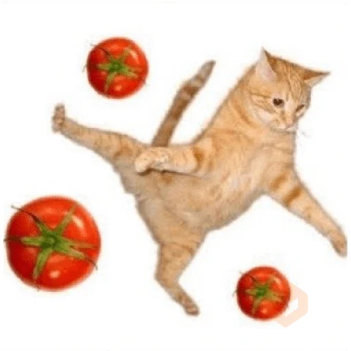 gatos maloqueiros sticker 30