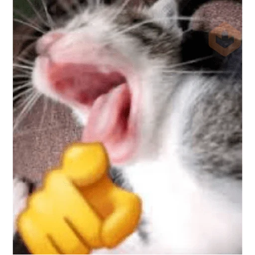 gatos maloqueiros sticker 21