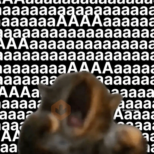 Gatos 58