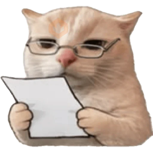 Gatos 58