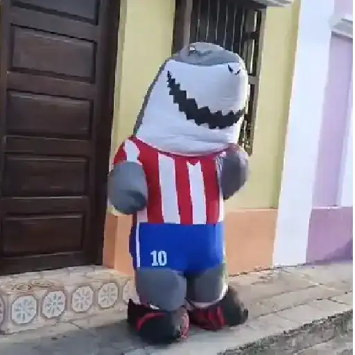 Junior de Barranquilla #3