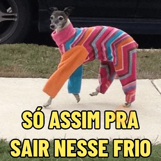 TÁ MUITO FRIO 🥶 sticker 13