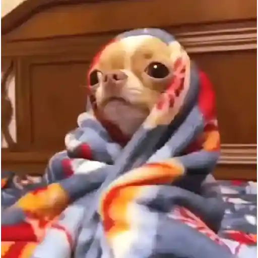 Frio e Inverno