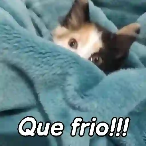 Frio e Inverno