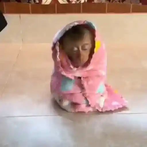 Frio e Inverno