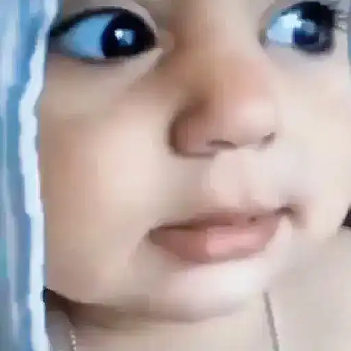 Frio e Inverno