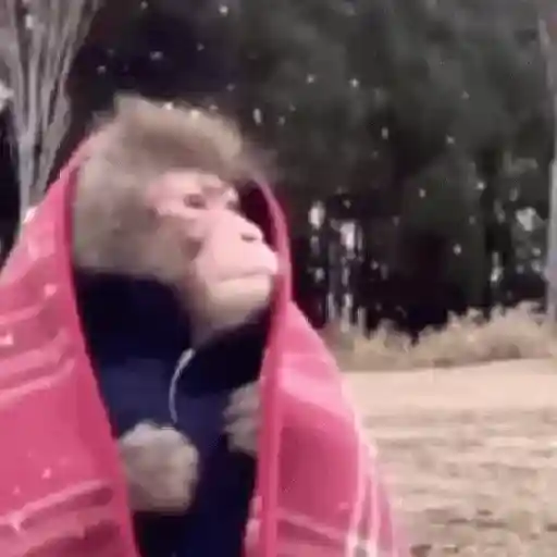 QUE FRIO É ESSE? 🥶