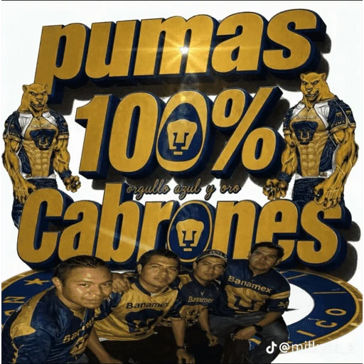 Pumas