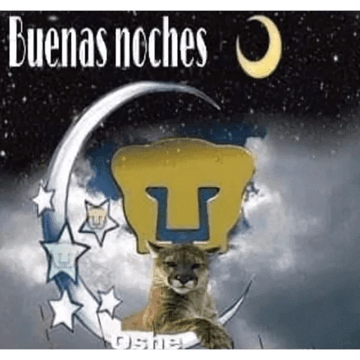 Pumas