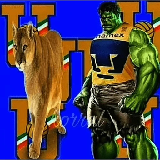 Pumas