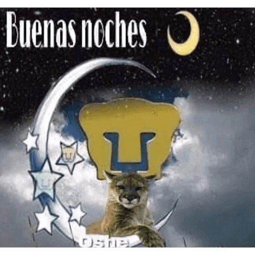 Pumas preview