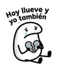 LLUVIA Flork ☔
