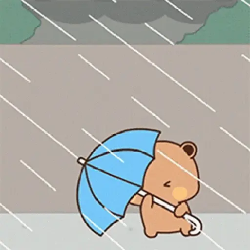 Memes Lluvia ⛈️