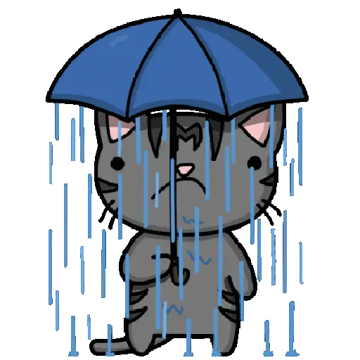Memes Lluvia ⛈️