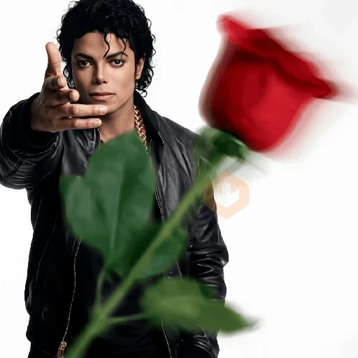 Michael Jackson Memes