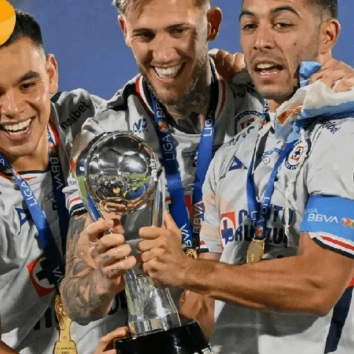 🔹️cruz azul campeón 2026 sticker 14