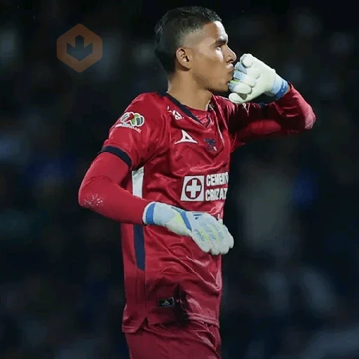 🔹️cruz azul campeón 2026 sticker 11