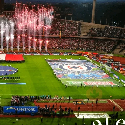 🔹️cruz azul campeón 2026 sticker 17