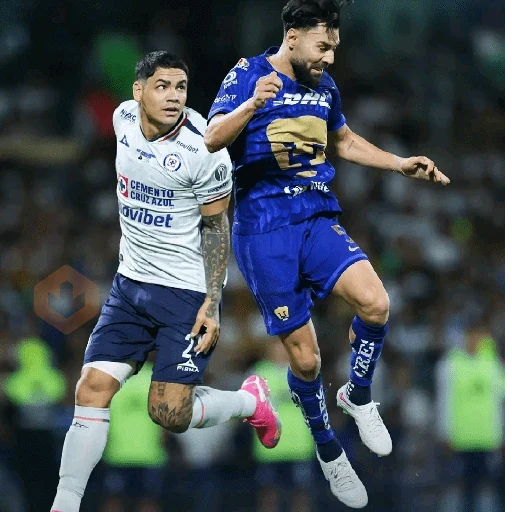 🔹️cruz azul campeón 2026 sticker 15