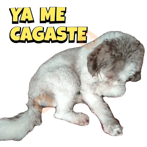 Mis pegatinas