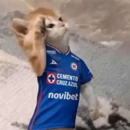 Cruz azul 💙 🥅 Futbol ⚽