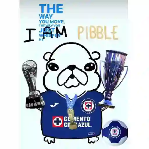 Cruz azul 💙 🥅 Futbol ⚽