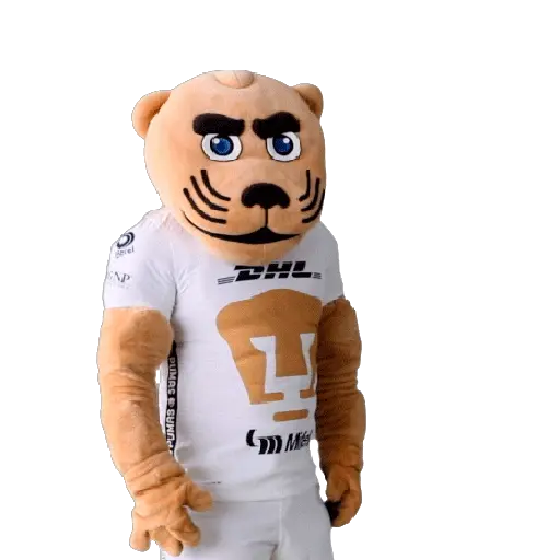 Pumas Fútbol ⚽️ ✅️