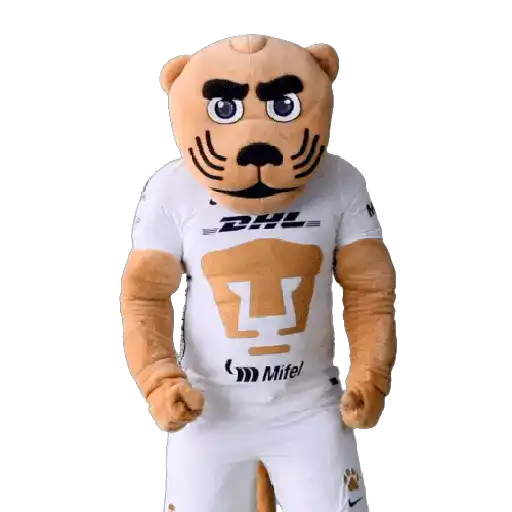Pumas Fútbol ⚽️ ✅️