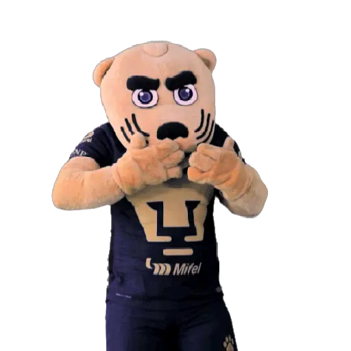 Pumas Fútbol ⚽️ ✅️ preview