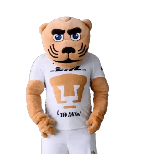 Pumas Fútbol ⚽️ ✅️