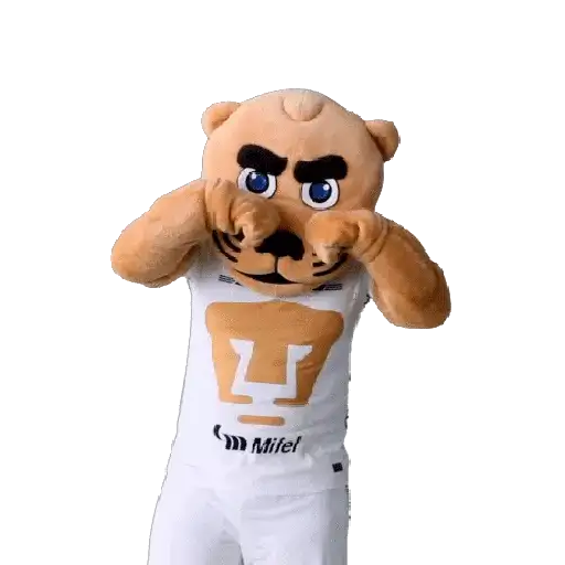 Pumas Fútbol ⚽️ ✅️