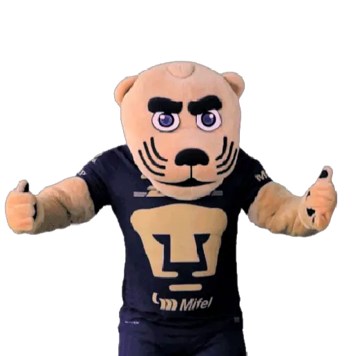 Pumas Fútbol ⚽️ ✅️