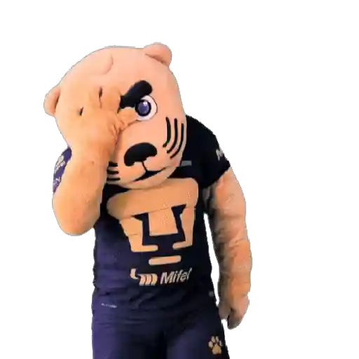 Pumas Fútbol ⚽️ ✅️