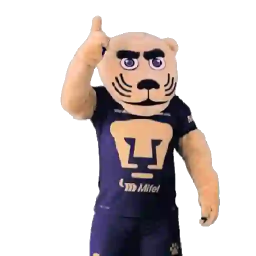 Pumas Fútbol ⚽️ ✅️