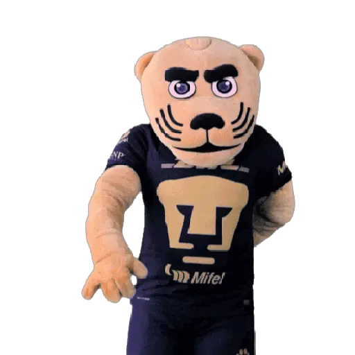 Pumas Fútbol ⚽️ ✅️