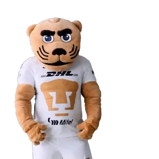 Pumas Fútbol ⚽️ ✅️