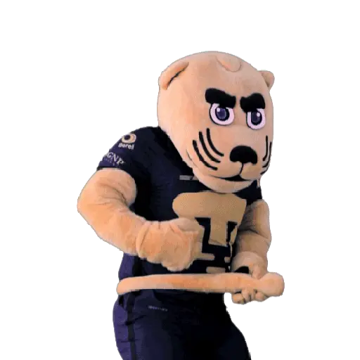 Pumas Fútbol ⚽️ ✅️