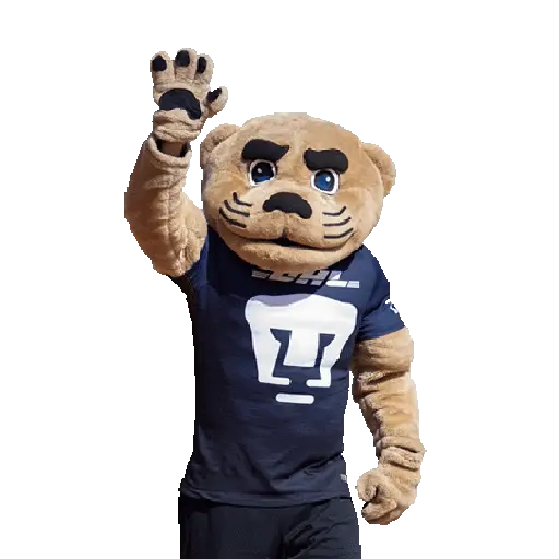 Pumas Fútbol ⚽️ ✅️