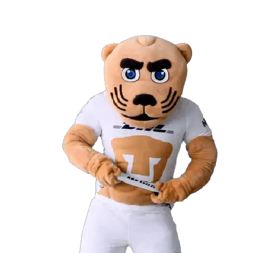 Pumas Fútbol ⚽️ ✅️