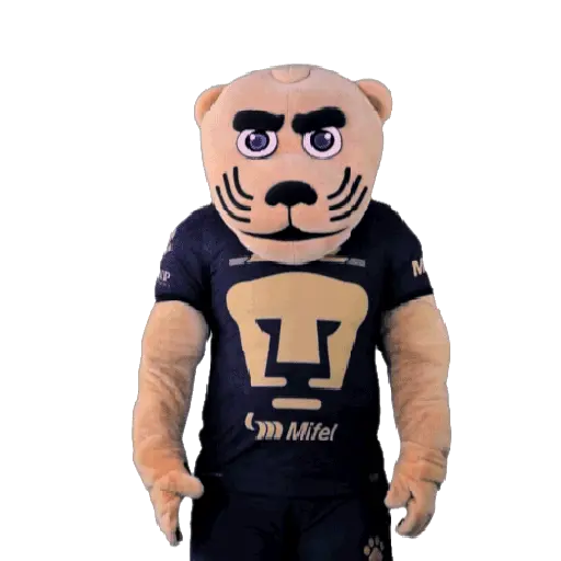 Pumas Fútbol ⚽️ ✅️