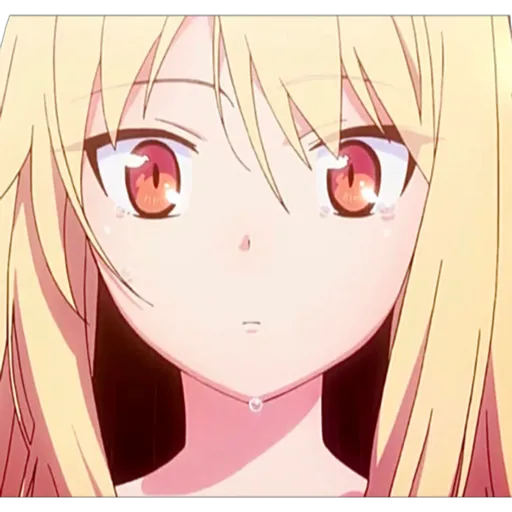 Sakurasou No Pet Na Kanojo