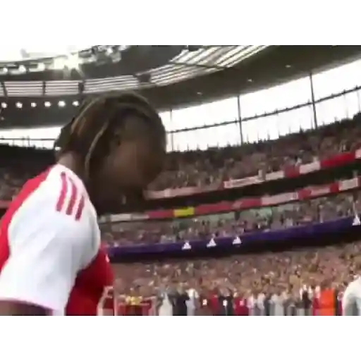 Arsenal Animados