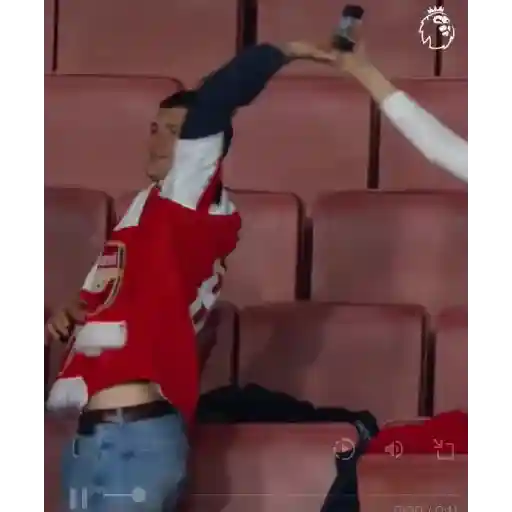Arsenal Animados