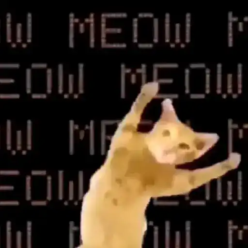 gatos bailando