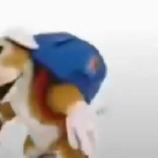 gato bailando preview