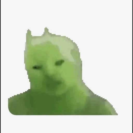 gato bailando